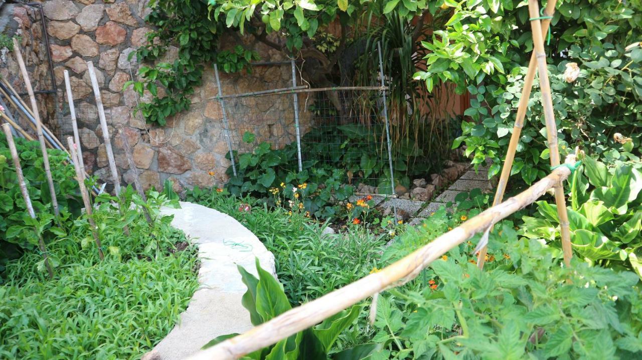 La Casa Di Elba E Mario Porto Santo Stefano (Grosseto)